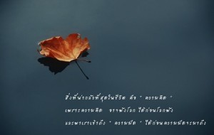 รวมคำคมโดนๆ