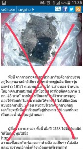 เฉาก๊วยปลอม