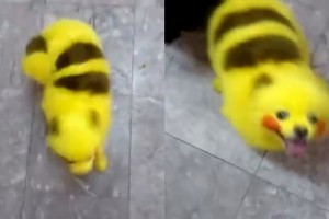 Pokemon Go
